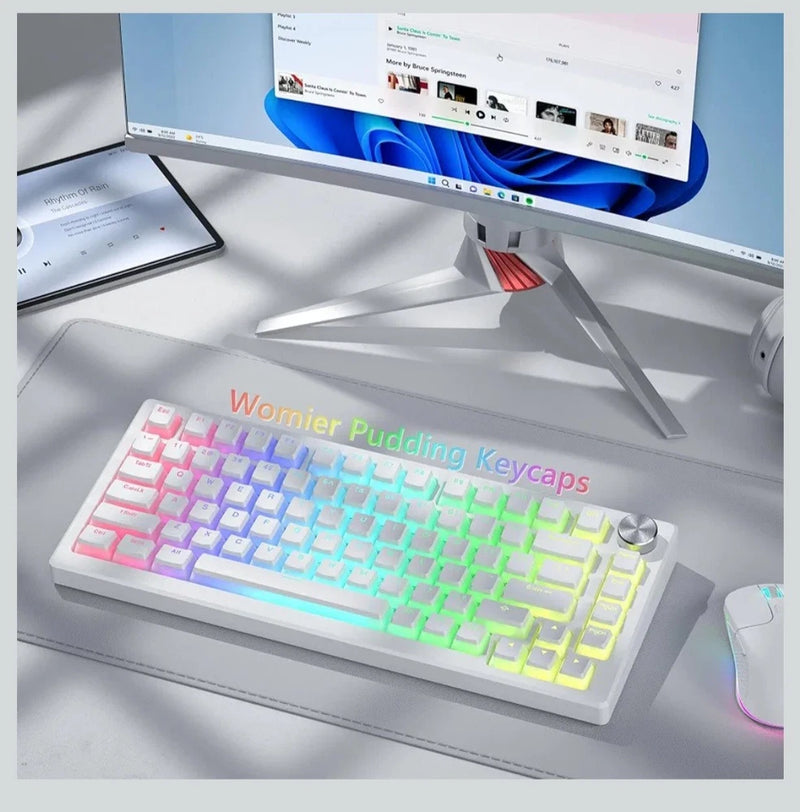 Womier Shine Through PBT Keycaps, Pudding White Keyboard Keycaps Model