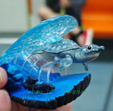 Animal Heavenly Body Pig-nosed Turtle Animal Model Limited Edition Collection Model