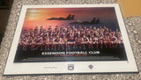 1996 ESSENDON FOOTBALL CLUB FRAMED MOUNTED BOARD TEAM PHOTO Poster Centenary Model