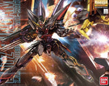 BLITZ GUNDAM (MASTER GRADE) Model