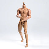 1/6 TQ230 Plastic Long Neck Male Action Figure Flexible Muscle Body Doll Model Model