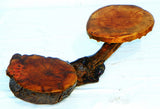 Burlwood Bonsai Mini Display Table 7.5" x 4" x 2" for Glass, Pewter, Crystals Model