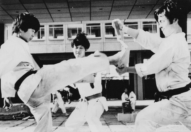 Martial Arts Demonstration Engaged Dynamic Move Training 1970s Kicking Board Model