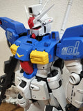 GUNDAM RX-78 GP01/FB GP01 GP01Fb 1:60 PG BANDAI Model Kit Top Coating Model