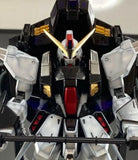 GUNDAM Forbidden GAT-X252 1:100 Full Mechanics BANDAI Model Kit ALL PAINTED Model