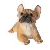 Playful French Bulldog Firguine Realistic Tan Frenchie Dog Statue Unique Collect Model