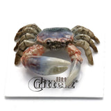 Little Critterz Fiddler Crab "Claw" - Birthday Gift Miniature Porcelain Figurine Model