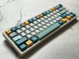 Retro Evoulution Dye Sub PBT Keycap Set Cherry Profile Keycaps Model