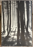 RARE Vintage 1969 Photo Trees Photograph On Thick Poster Board by Charles Ogg Model