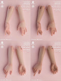 Worldbox AT208 1/6 Integrated Arm Model For 12" Female Action Figures Body Model