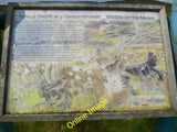 Photo 6x4 Information board on the Alwen Trail Mwdwl-eithin/SH9154 A des c2012 Model