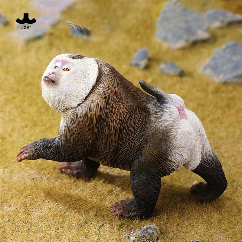 JXK 1/6 Northern Pigtail Macaque Figure Monkey Model Adult  Xmas Gift Model