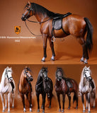 JXK 1/6 Germany Hanover Horse Figure Steed Mount Animal Model Collector Toy Gift Model