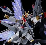 BANDAI HG 1/144 STRIKE FREEDOM GUNDAM Type2 & WING OF LIGHT EFFECT SET KIT Model