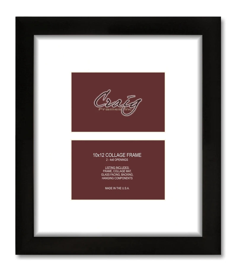 Craig Frames 10x12 1WB3 2 Photo Collage Frame with 2 4x6 Openings, 2" Mat Model