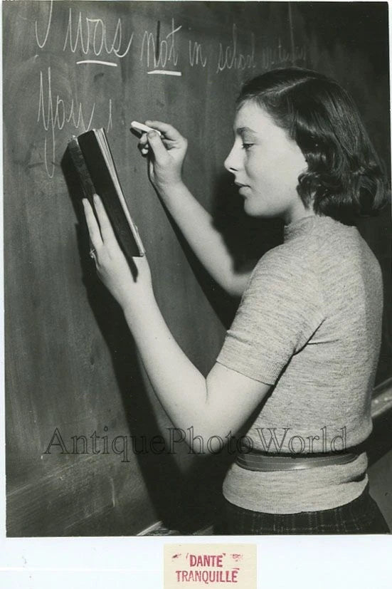 School teacher w chalk by black board vintage art photo Model