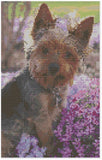Cross Stitch Pattern by Florashell - Yorkshire Terrier Dog Model