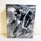 Bandai MG 1/100 RGC-80 GM Cannon White Dingo Custom Gundam Model Kit USED Japan Model