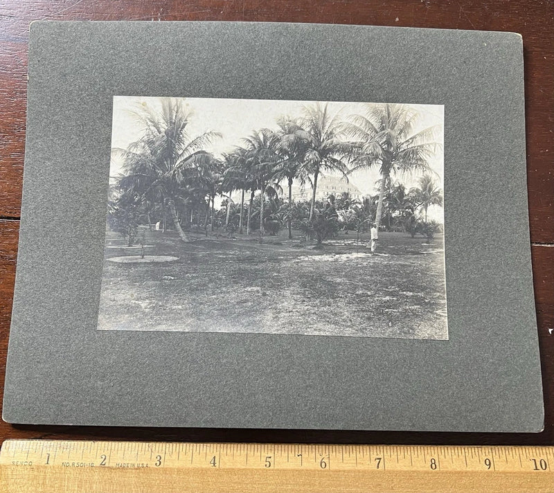 Photo on Board, PALM BEACH GARDEN, ? Royal Poinciana in background Model