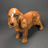 Vintage English Cocker Spaniel Porcelain Figurine Stamped Made In England 7x9" Model