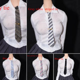 1:6 Scale Gray Coffee Necktie Model Accessories 12