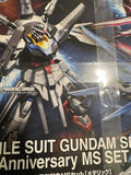 MOBILE SUIT GUNDAM SEED 20th Anniversary MS SET METALLIC BANDAI HG RG *3 kits* Model