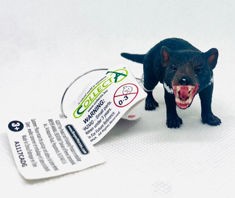 CollectA - Tasmanian Devil - Realistic Animal Figurine - 3.03 x 0.98 x 1.38 Model