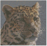 Cross Stitch Pattern by Florashell - Jaguar Model
