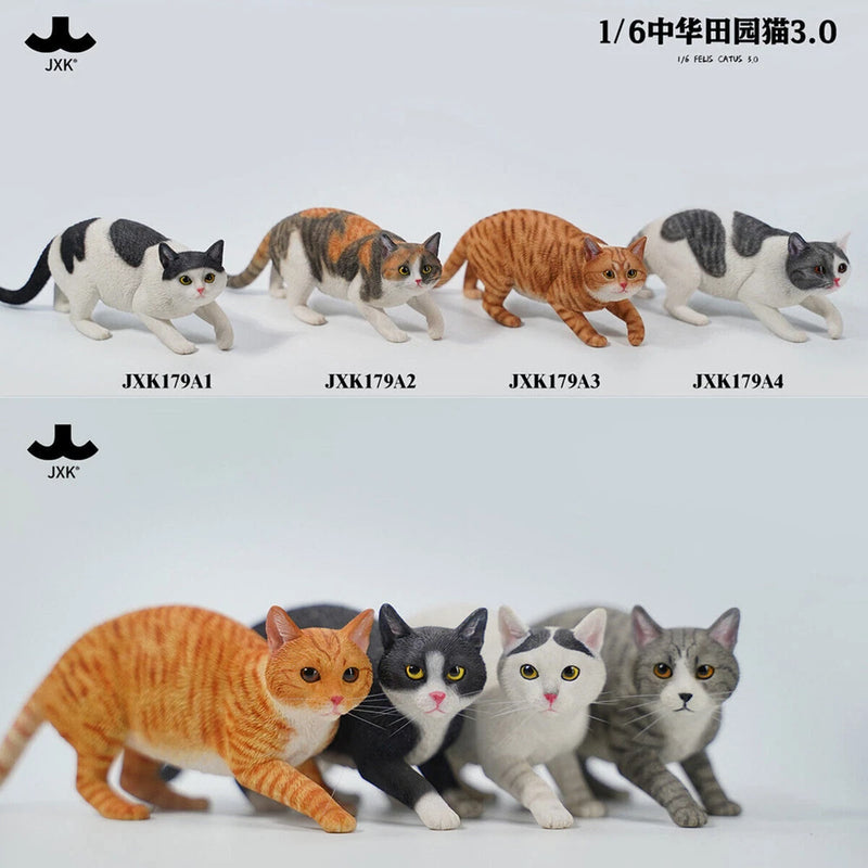 JXK 1:6 Scale Chinese Garden Cat 3.0 Model Animal Scene Figure Accessory Decor Model