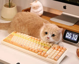 Asdon 98Pro Orange Cat Themed Tri-Mode Keyboard Model