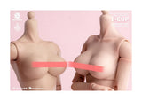 Worldbox 1/6 E Cup Breast Chest Model Toys Changable Accessories Model