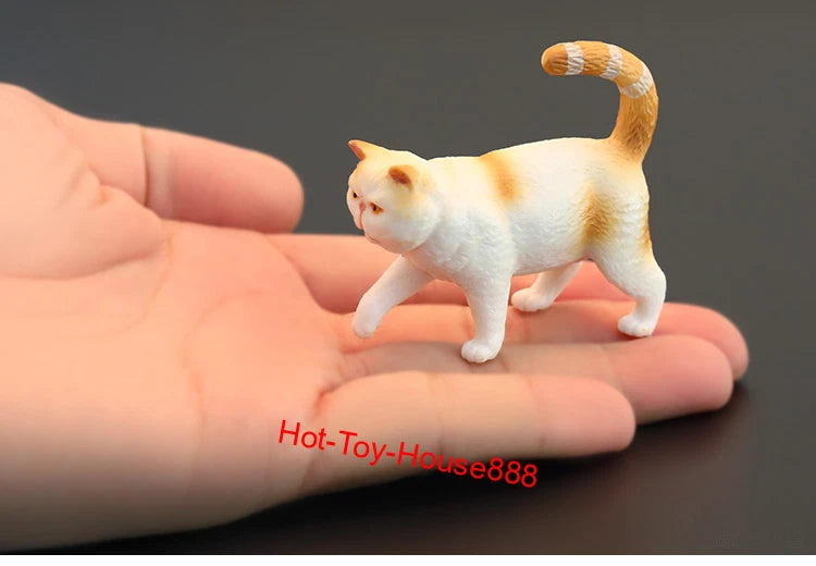 1/6 Scale Simulation Exotic Cat Model for 12" Action Figure Scene Accessories Model