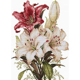 Luca-S counted cross stitch kit "The Scent of Lilies", 24x34cm Model