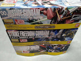 GUNPLA Model Kit 3-piece set / BANDAI MG 1/100 Mobile Suit Gundam SEED DESTINY Model