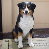 SoReal White & Black Australian shepherd Decorative Puppy Figurine Model