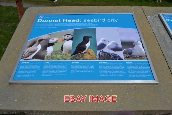 PHOTO  RSPB DUNNET HEAD INFORMATION BOARD DUNNET HEAD PENINSULA CAITHNESS 2013 Model
