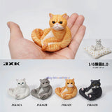 JXK 1/6 Lazy Cat 8.0 Model Cute Animal Scene Decor Accessory Gift Painted Model