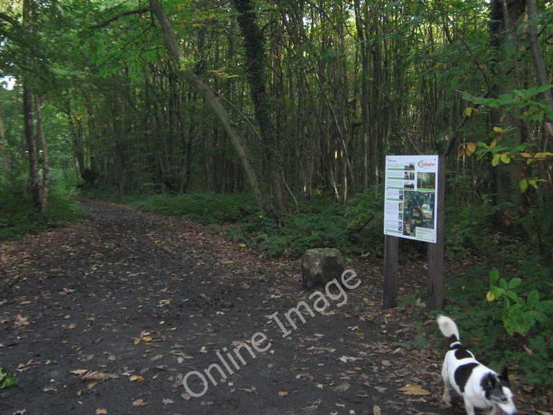 Photo 6x4 Information Board in Oaken Wood Barming Heath This board (provi c2010 Model