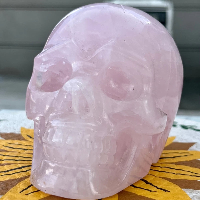 3.1 lb  Rose Quartz Skull Figurine Pink Crystal Gemstone Mineral Collection Model