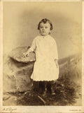 1890's HAGERSTOWN MARYLAND*MD*PHOTOGRAPHER ALBERT L ROGERS*LARGE PHOTO ON BOARD Model