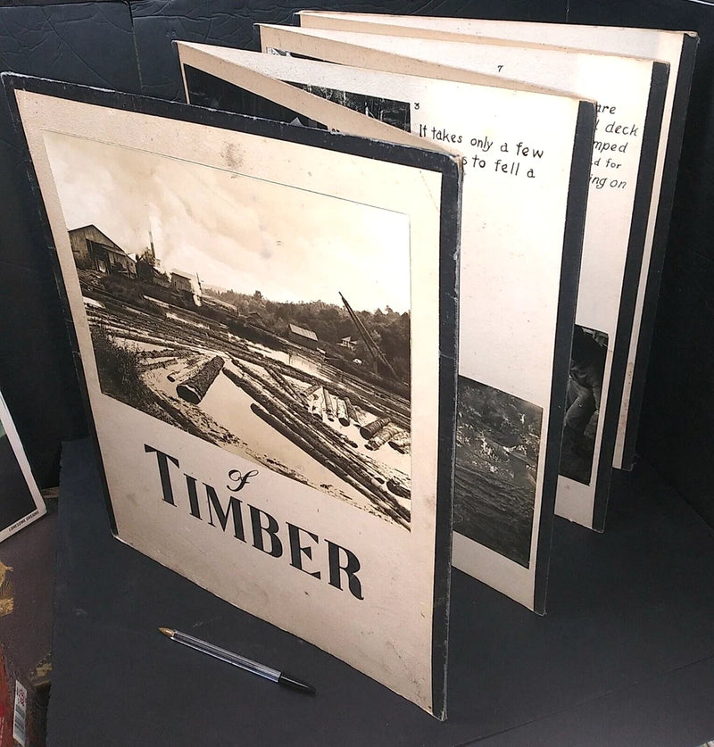 21 photos LOGGING TIMBER LUMBER YARD MACHINERY Ambrose Mill Santa Barbara 1950s Model