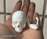 1:6 Scale 4cm Skeleton Skull Head Sculpt Model Props For 12