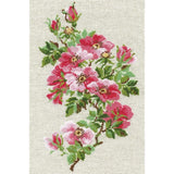Riolis counted cross stitch Kit May Wild Rose, DIY Model