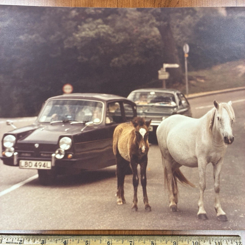 1973 Reliant Regal Saloon Auto Photo Behind Two Horses 11x14 On Board Mr Bean Model