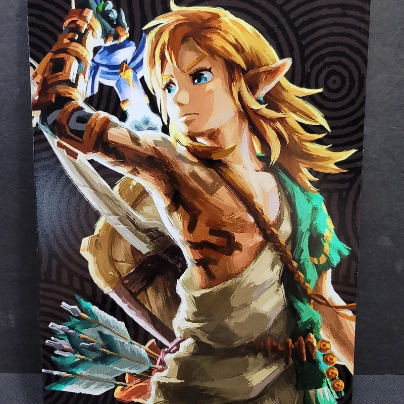 Zelda Tears of the Kingdom Nintendo Wall Photo Art Board Print 11.75in x 7.25in Model