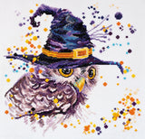 Cross Stitch Kit "Miracles", size 11.4x11.4 in (29.0x29.0 cm) Model