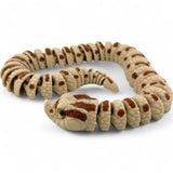 Hognose Snake Figurine - 3D Printed Reptile Sculpture with Glass Eyes, Desk Model
