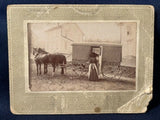 Original Photo On Board Horse Drawn Wagon Ringer ? Butcher Parryville Pa Model