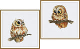 Counted cross stitch kit DIY unprinted canvas Two owls birds nand CRAFT 3615 Model