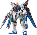 RG Mobile Suit Gundam SEED DESTINY ZGMF-X20A Strike Freedom Gundam 1/144 Sc Model